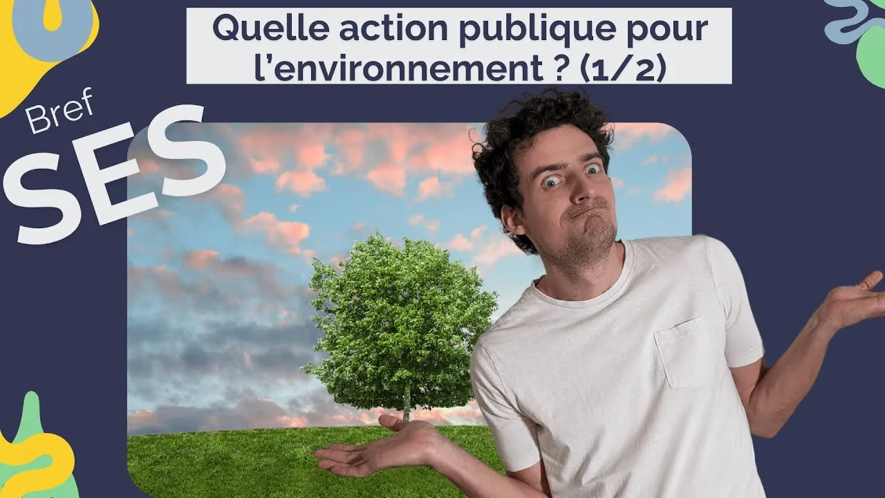 savoie : un territoire au cœur des enjeux régionaux