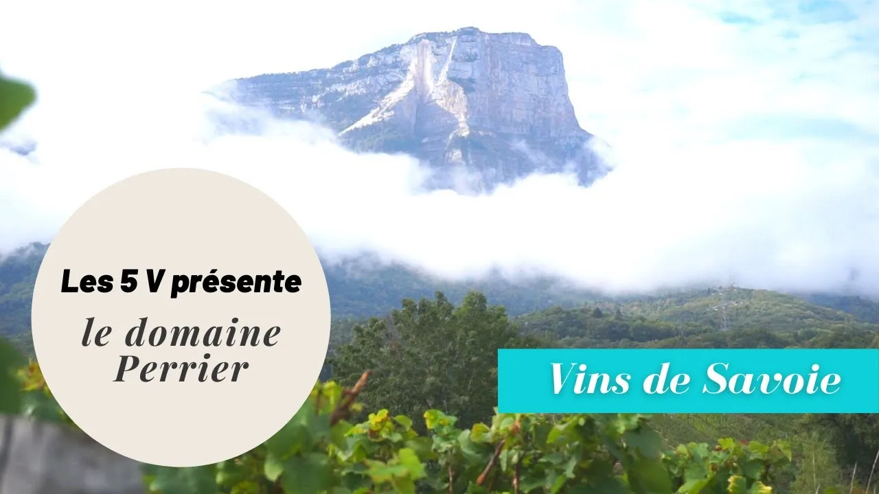 les vins de savoie à l’honneur au salon de l’agriculture : défis et valorisation