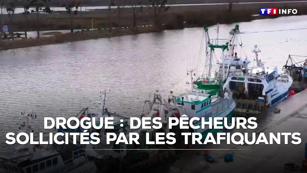 haute savoie : opération des douaniers à viry, saisie record de drogues et condamnation
